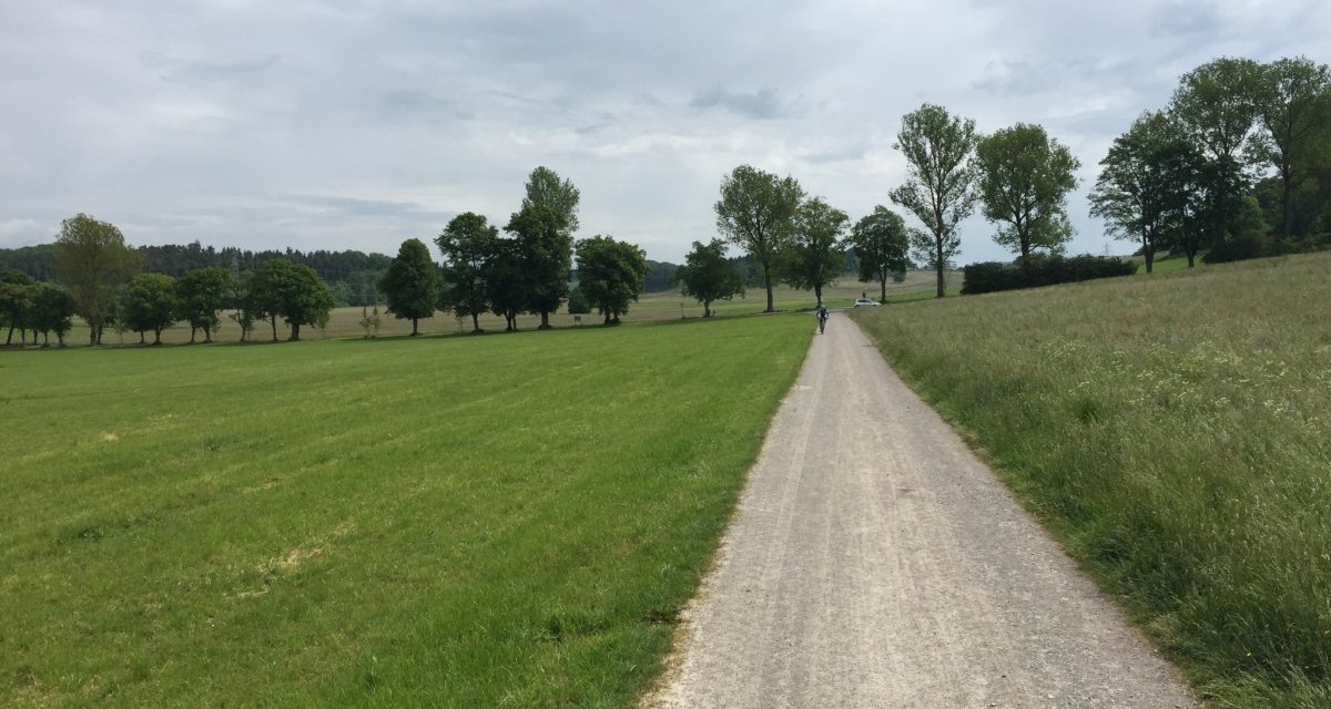 Ein schmaler Kiesweg durchquert eine gr&uuml;ne Wiese, ges&auml;umt von B&auml;umen. Eine Person f&auml;hrt in der Ferne Fahrrad. Der Himmel ist bew&ouml;lkt., &copy; www.pro-cycl.de