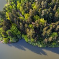 Luftaufnahme eines bewaldeten Ufers am Herrenbachstaussee. Dichte Bäume mit grünem Laub grenzen an das ruhige Wasser des Sees. Luftaufnahme eines bewaldeten Ufers am Herrenbachstaussee. Dichte Bäume mit grünem Laub grenzen an das ruhige Wasser des Sees.