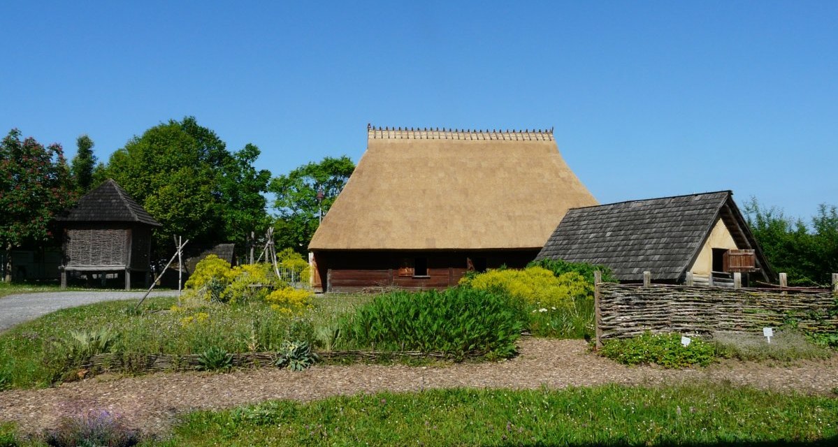 Traditionelle Gebäude im Keltenmuseum Hochdorf mit Strohdächern, umgeben von grüner Vegetation und blühenden Pflanzen unter klarem Himmel., © Keltenmuseum Hochdorf Traditionelle Gebäude im Keltenmuseum Hochdorf mit Strohdächern, umgeben von grüner Vegetation und blühenden Pflanzen unter klarem Himmel., © Keltenmuseum Hochdorf