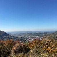 Herbstliche Aussicht vom Buckleter Kapf auf ein Tal mit buntem Laub und klarblauem Himmel., © Bad Urach Tourismus