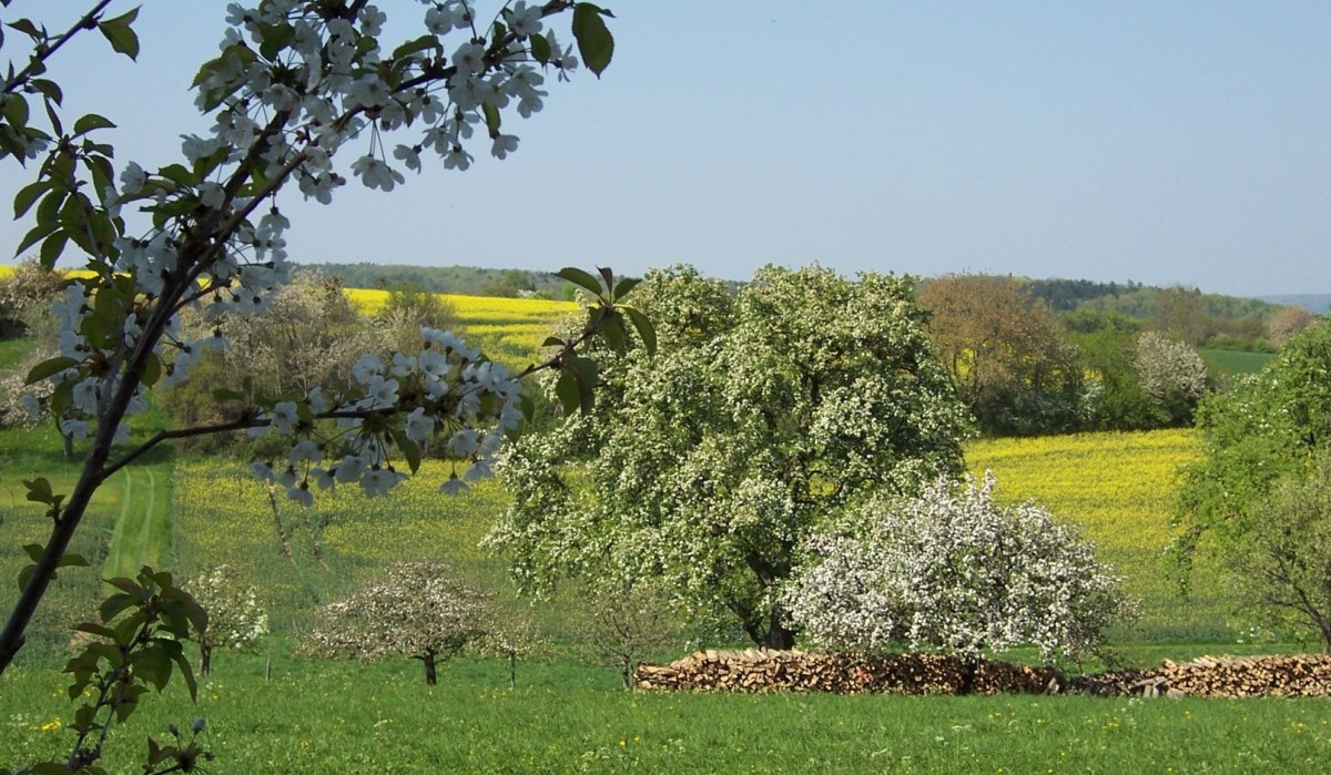 kurz vor Dätzingen, © Natur.Nah. Schönbuch & Heckengäu