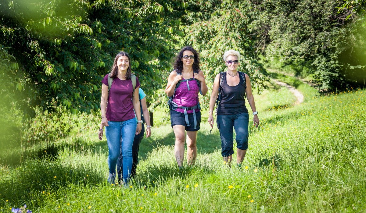 Vier Frauen wandern auf einem grünen Wiesenpfad, umgeben von Bäumen und Blumen, bei sonnigem Wetter., © Kurverwaltung Beuren Vier Frauen wandern auf einem grünen Wiesenpfad, umgeben von Bäumen und Blumen, bei sonnigem Wetter., © Kurverwaltung Beuren