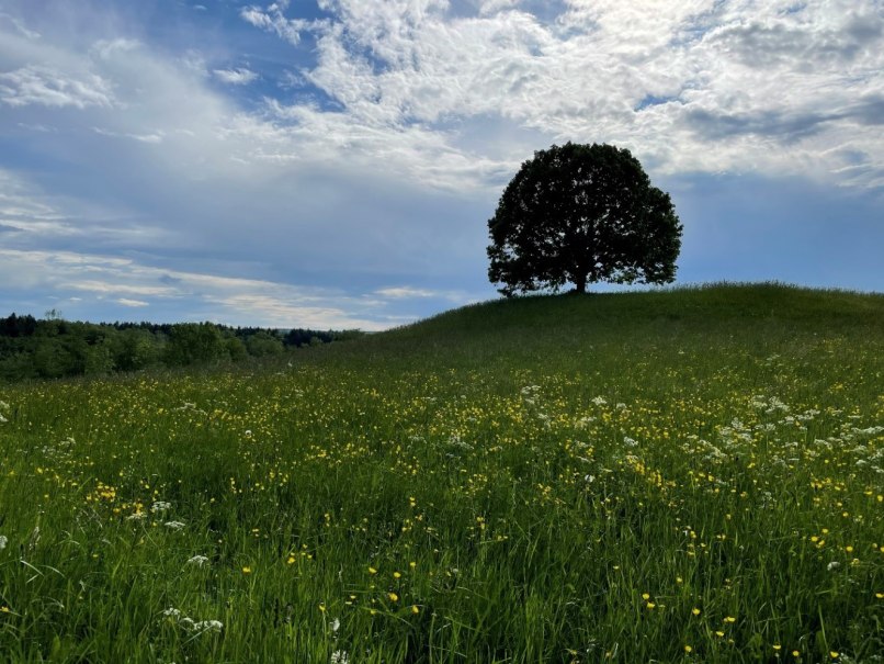 G&auml;stewanderung mit Josef Engst