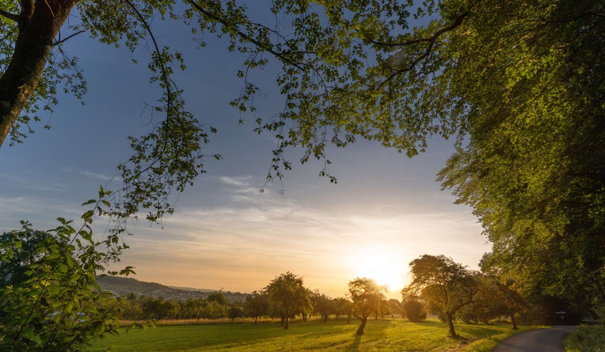 Wiese bei Kirchheim unter Teck, © Stuttgart Marketing GmbH Martina Denker