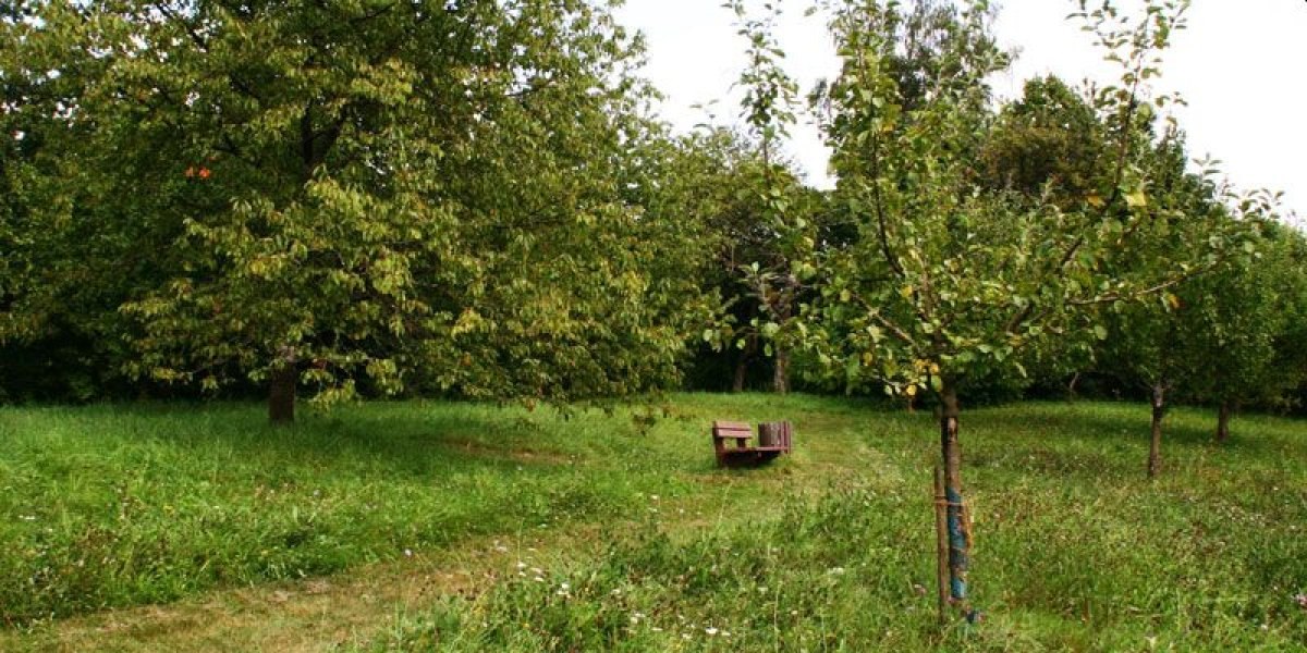 Dornhau Lehrpfad, &copy; Gemeinde Korb