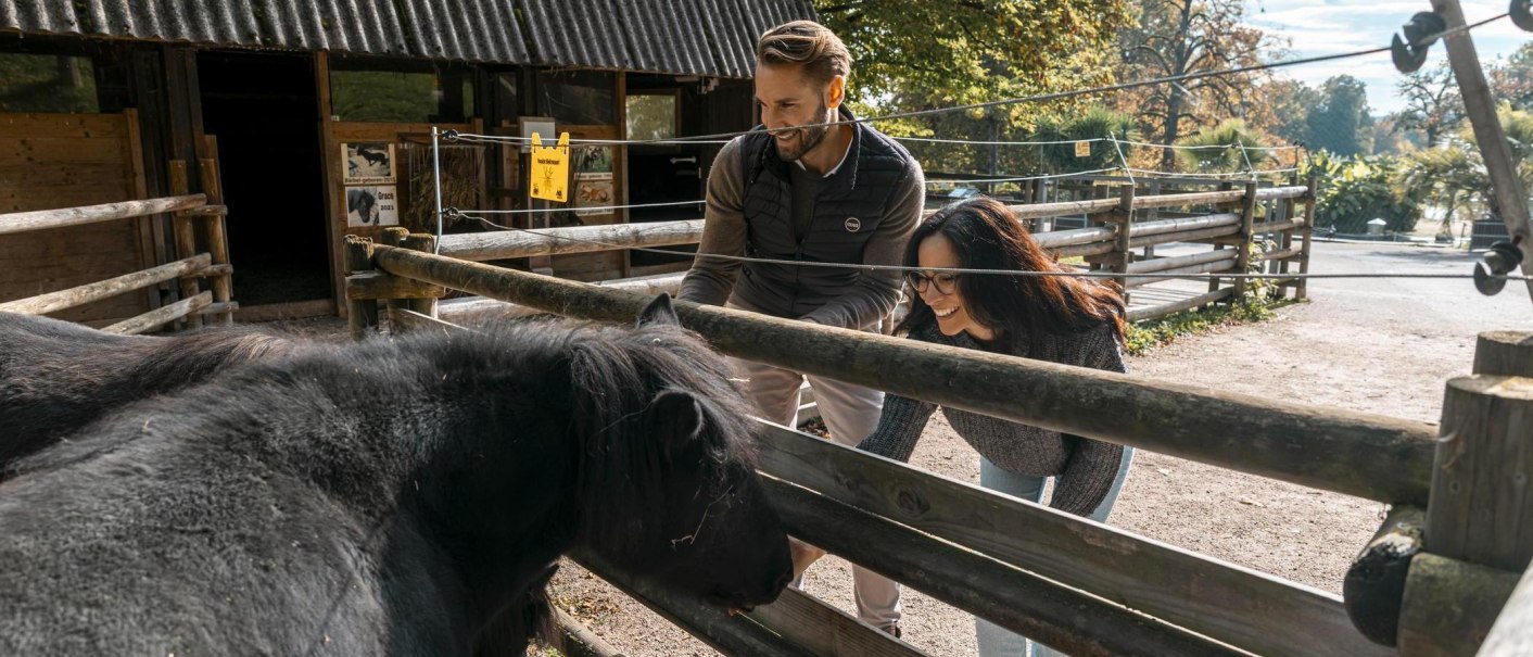 Zwei Personen streicheln ein schwarzes Pony in einem Streichelzoo. Sie stehen hinter einem Holzzaun, im Hintergrund sind Bäume und ein Stall zu sehen., © Stuttgart-Marketing GmbH, Sarah Schmid