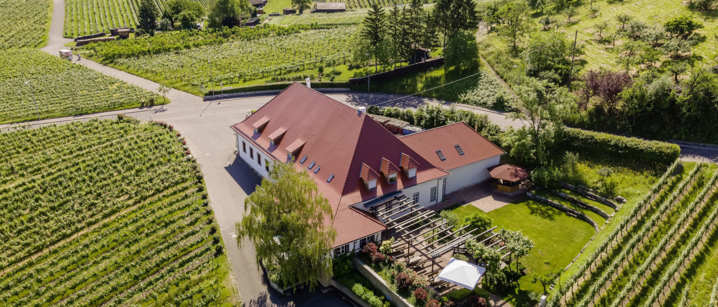 Luftaufnahme eines Gebäudes mit rotem Dach, umgeben von Weinbergen und grüner Landschaft. Ein Garten mit Pergola und Sonnenschirm ist sichtbar., © Collegium Wirtemberg Luftaufnahme eines Gebäudes mit rotem Dach, umgeben von Weinbergen und grüner Landschaft. Ein Garten mit Pergola und Sonnenschirm ist sichtbar., © Collegium Wirtemberg