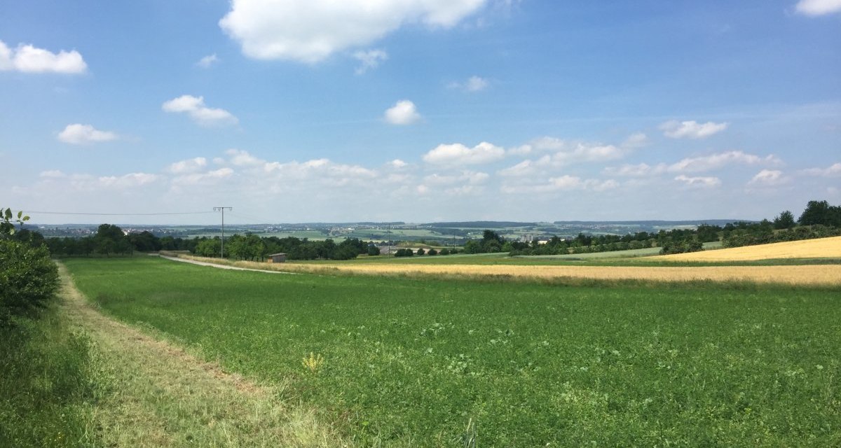 Gr&uuml;ne Felder erstrecken sich unter einem blauen Himmel mit wei&szlig;en Wolken. Ein Weg f&uuml;hrt durch die Landschaft in Herrenberg., &copy; www.pro-cycl.de