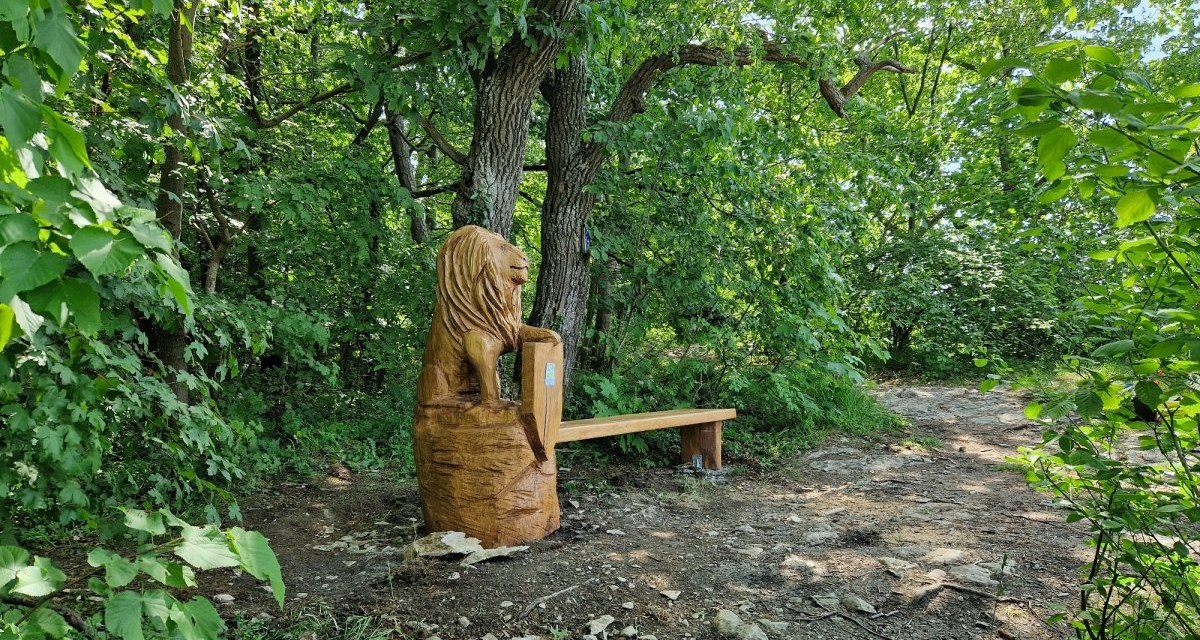 Eine Holzbank mit einer Löwenskulptur steht im grünen Wald am Ramsfels. Der Boden ist steinig und von Bäumen umgeben., © Distretto di Göppingen Eine Holzbank mit einer Löwenskulptur steht im grünen Wald am Ramsfels. Der Boden ist steinig und von Bäumen umgeben., © Distretto di Göppingen