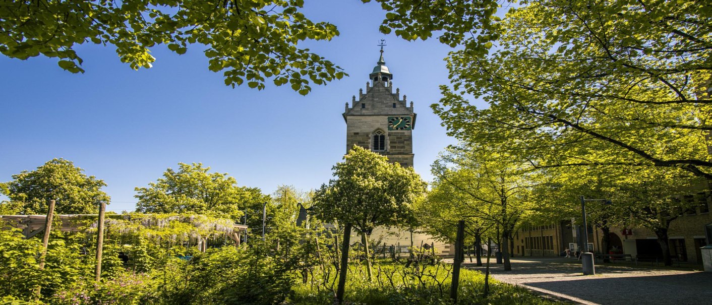 Ein Kirchturm in Fellbach ragt zwischen grünen Bäumen empor, unter einem klaren blauen Himmel. Die Umgebung wirkt friedlich und einladend., © SMG, Sarah Schmid