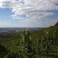 Weinberge erstrecken sich den Hang hinunter, mit Blick auf eine Stadt im Tal. Der Himmel ist teils bewölkt., © Remstal Tourismus e.V. Weinberge erstrecken sich den Hang hinunter, mit Blick auf eine Stadt im Tal. Der Himmel ist teils bewölkt., © Remstal Tourismus e.V.