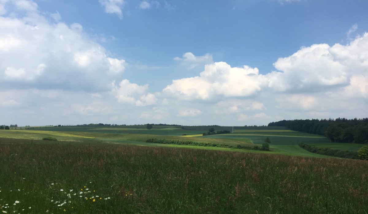 Blick über die Felder bei Gärtringen, © www.pro-cycl.de