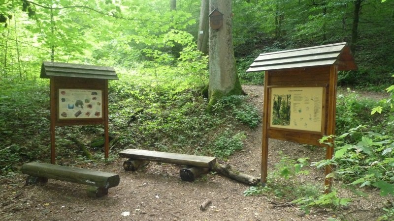Zwei Informationstafeln und Holzbänke stehen im grünen Wald auf einem Naturlehrpfad. Die Umgebung ist dicht bewachsen und ruhig., © Bad Urach Tourismus Zwei Informationstafeln und Holzbänke stehen im grünen Wald auf einem Naturlehrpfad. Die Umgebung ist dicht bewachsen und ruhig., © Bad Urach Tourismus