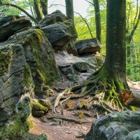 Feenspuren | Premiumspazierwanderweg Felsenmeer - Premiumwanderweg mit Start in Murrhardt, © SWT - Jan Bürgermeister