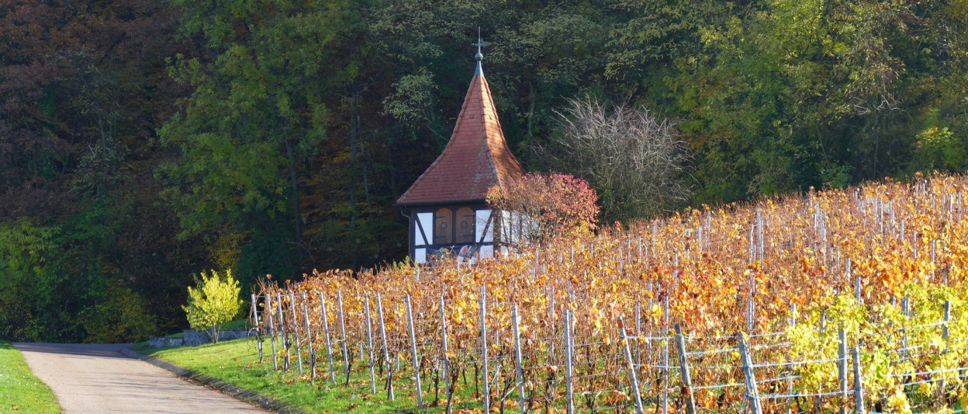 Ein kleines Fachwerkhäuschen mit spitzem Dach steht neben herbstlichen Weinreben. Im Hintergrund sind dichte Bäume zu sehen., © Dieter Sukowski Ein kleines Fachwerkhäuschen mit spitzem Dach steht neben herbstlichen Weinreben. Im Hintergrund sind dichte Bäume zu sehen., © Dieter Sukowski