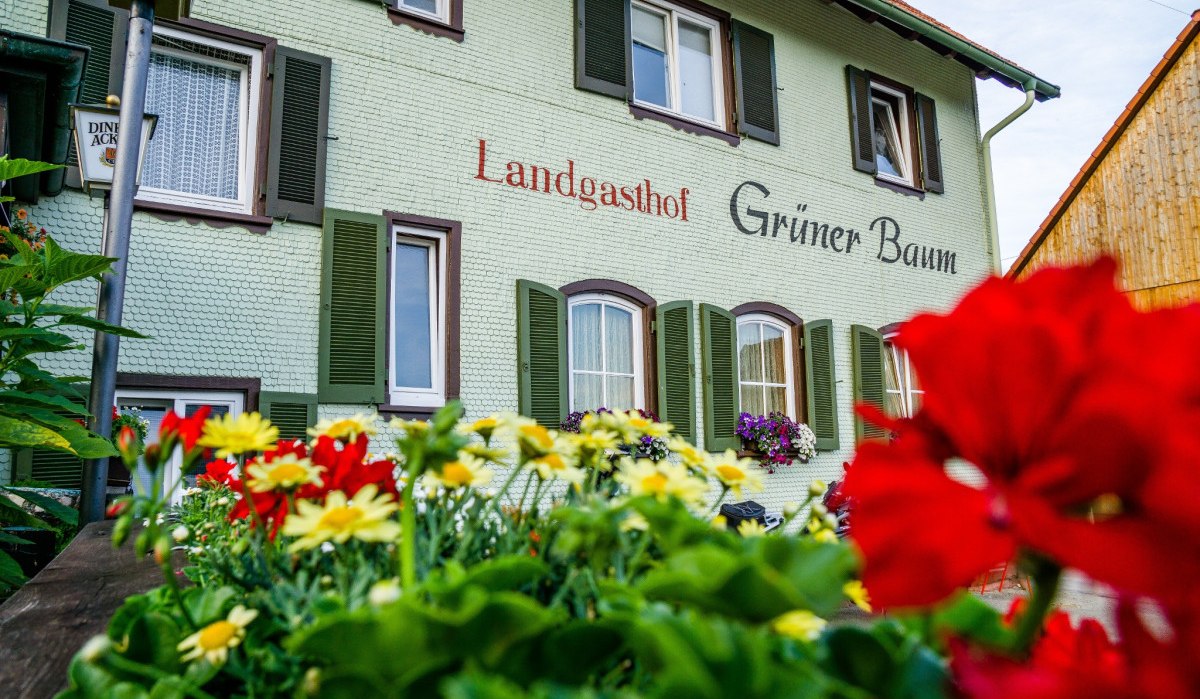 Die Fassade des Landgasthofs Grüner Baum in Aichelberg, umgeben von bunten Blumen im Vordergrund. Grüne Fensterläden und Schriftzug sind sichtbar., © Nördlicher Schwarzwald Die Fassade des Landgasthofs Grüner Baum in Aichelberg, umgeben von bunten Blumen im Vordergrund. Grüne Fensterläden und Schriftzug sind sichtbar., © Nördlicher Schwarzwald