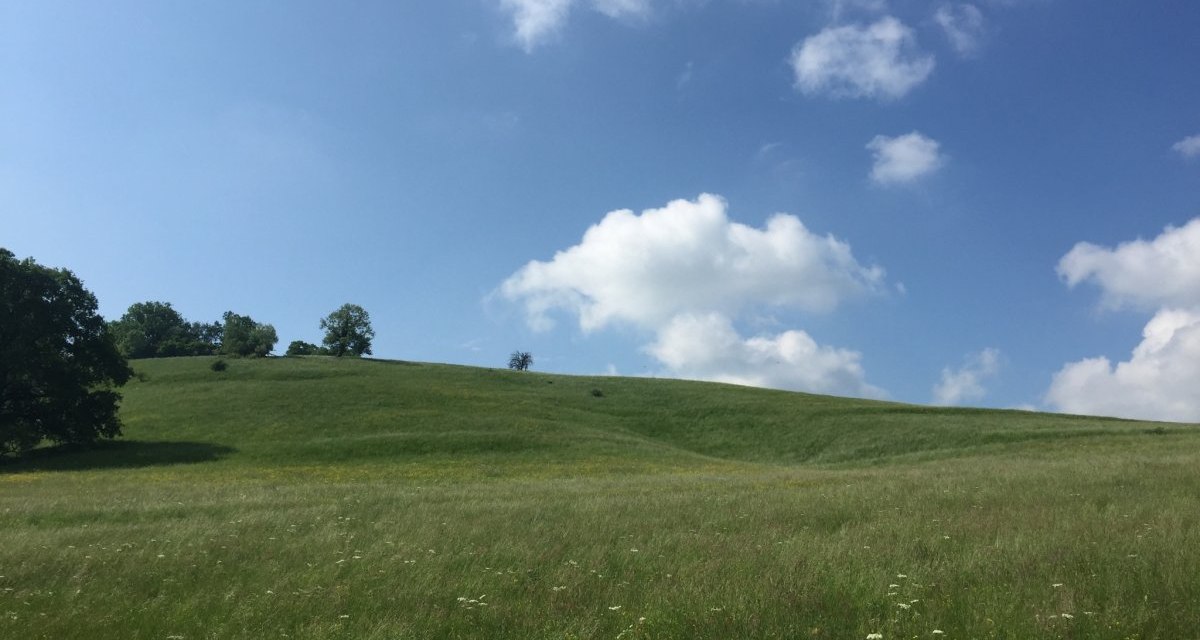 Grüne Wiese bei Tübingen mit vereinzelten Bäumen unter einem blauen Himmel mit weißen Wolken., © www.pro-cycl.de Grüne Wiese bei Tübingen mit vereinzelten Bäumen unter einem blauen Himmel mit weißen Wolken., © www.pro-cycl.de