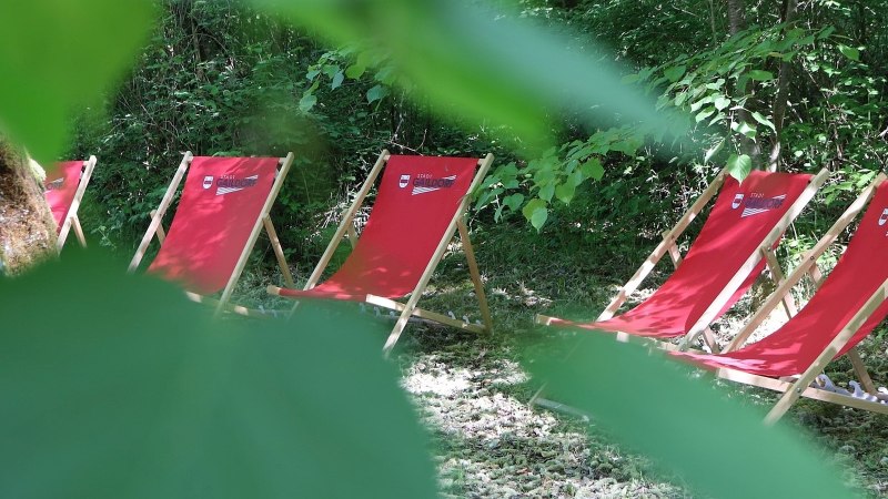 F&uuml;nf rote Liegest&uuml;hle inmitten von B&uuml;schen, durch Bl&auml;tter betrachtet, &copy; Stadt Gaildorf