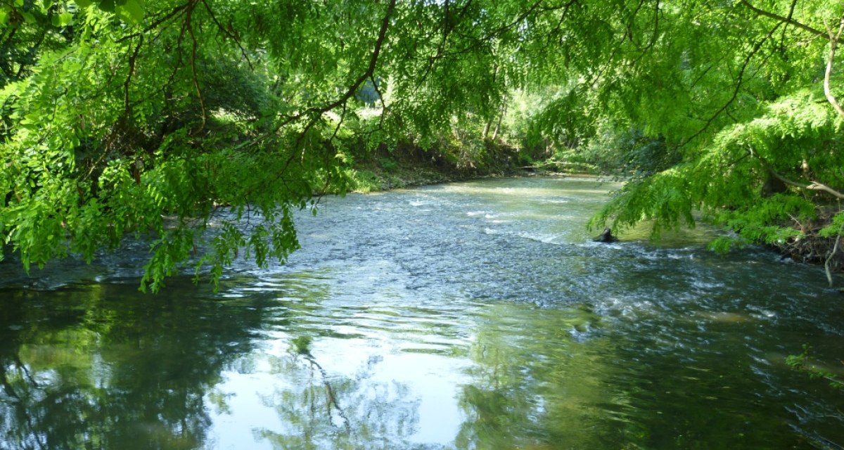 Ein ruhiger Fluss fließt durch eine grüne Landschaft, umgeben von üppigen Bäumen, die sich im Wasser spiegeln., © Remstal Tourismus e.V.