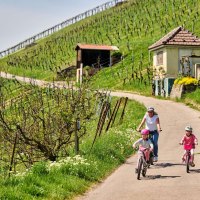 Radfahren mit Kindern im Remstal, © Remstal Tourismus e.V. Radfahren mit Kindern im Remstal, © Remstal Tourismus e.V.