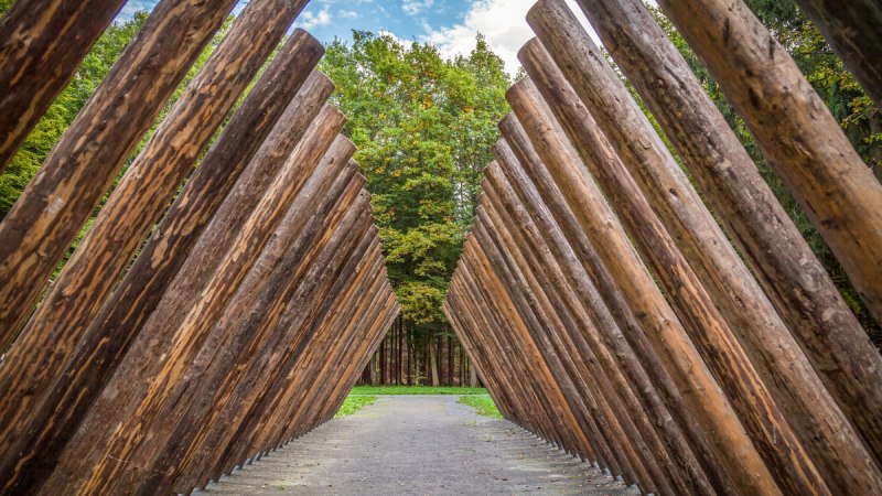Holzstämme sind schräg aufgestellt und bilden einen Tunnel, der zu einem Wald führt. Der Himmel ist leicht bewölkt., © agentur arcos/Niki Eilers Holzstämme sind schräg aufgestellt und bilden einen Tunnel, der zu einem Wald führt. Der Himmel ist leicht bewölkt., © agentur arcos/Niki Eilers