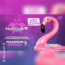 Werbung f&uuml;r die Halli Galli Party mit pinkem Flamingo, lila Hintergrund. Text: "Jeden ersten Samstag", "Maximum Wernau", DJs Rockmaster B & DJ C2K.", &copy; links im Bild
