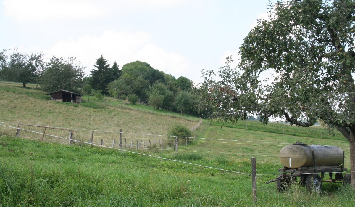 Grüne Wiese mit einem Baum und einem Wasserfass auf Rädern. Im Hintergrund ein kleiner Schuppen und Bäume., © Natur.Nah. Schönbuch & Heckengäu Grüne Wiese mit einem Baum und einem Wasserfass auf Rädern. Im Hintergrund ein kleiner Schuppen und Bäume., © Natur.Nah. Schönbuch & Heckengäu
