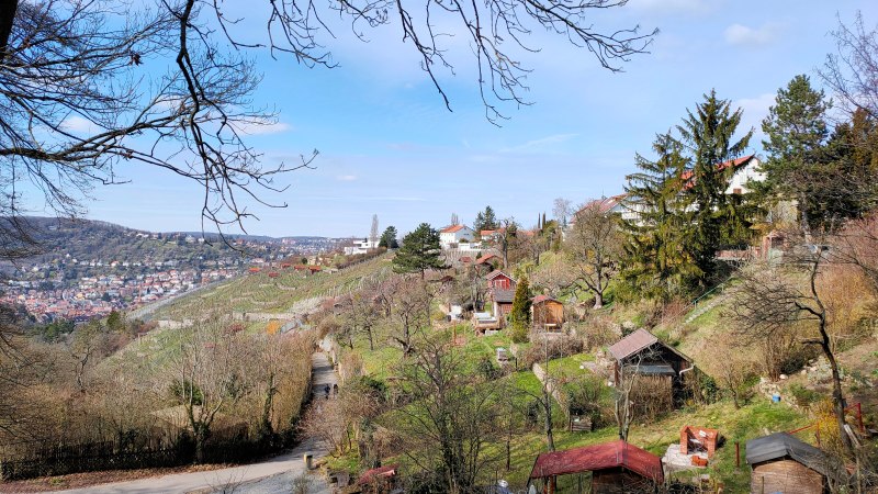 Hügelige Landschaft mit Weinbergen und kleinen Hütten, im Hintergrund eine Stadt. Bäume ohne Blätter rahmen das Bild ein, blauer Himmel., © SMG