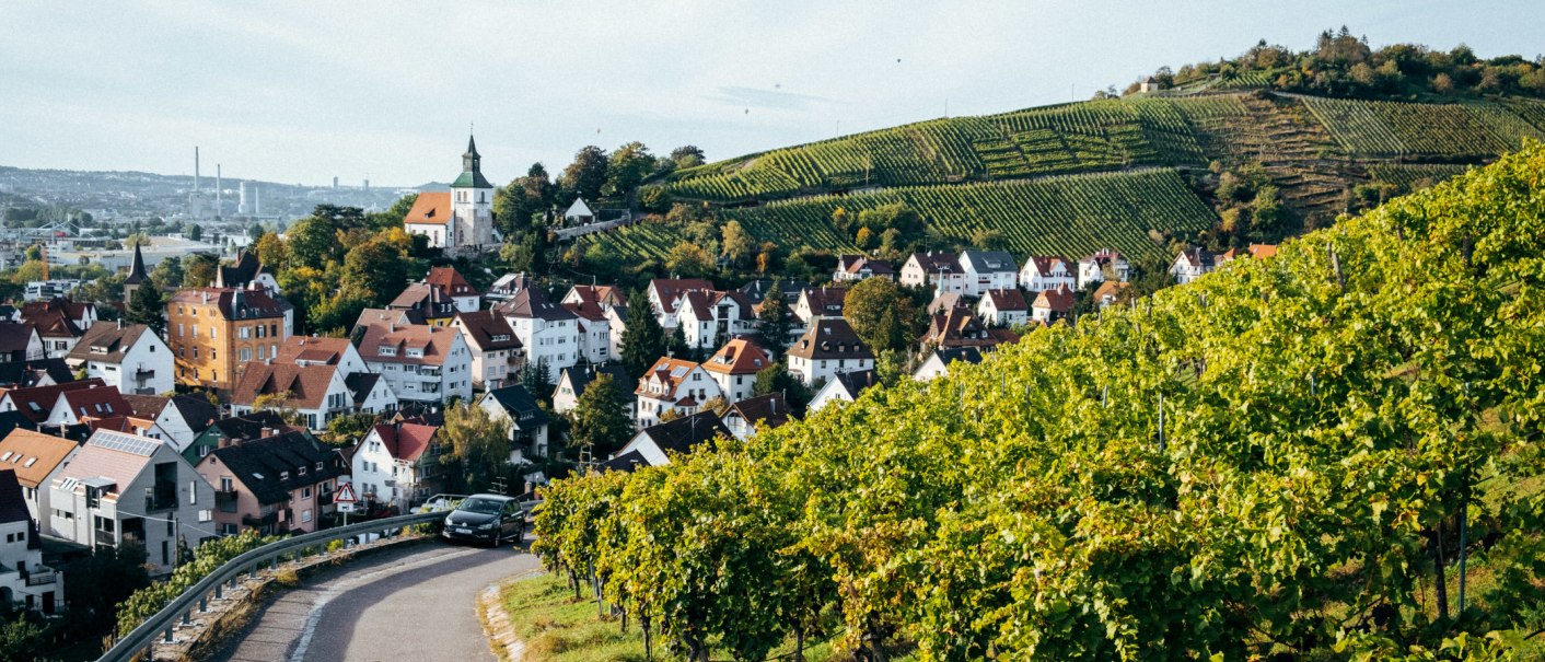Weinberge erstrecken sich über einen Hügel, im Vordergrund eine Straße mit einem Auto. Im Hintergrund ein Dorf mit Kirche und Häusern., © Weingut Zaiß Weinberge erstrecken sich über einen Hügel, im Vordergrund eine Straße mit einem Auto. Im Hintergrund ein Dorf mit Kirche und Häusern., © Weingut Zaiß