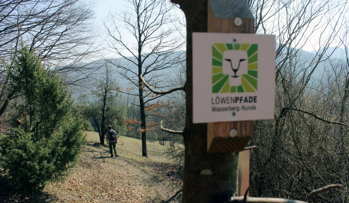 Ein Wanderer auf einem Waldweg, umgeben von kahlen Bäumen. Ein Schild der Löwenpfade Wasserberg-Runde ist an einem Baum befestigt., © Landkreis Göppingen Ein Wanderer auf einem Waldweg, umgeben von kahlen Bäumen. Ein Schild der Löwenpfade Wasserberg-Runde ist an einem Baum befestigt., © Landkreis Göppingen