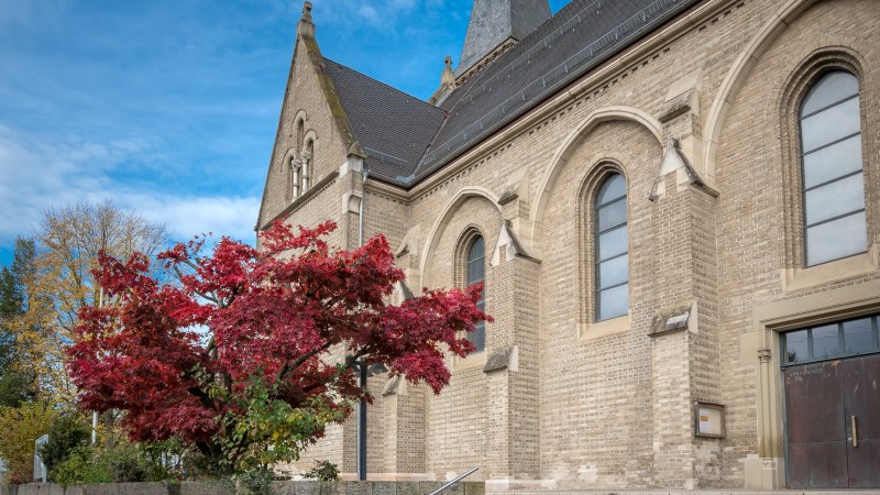 Die Johanneskirche in Backnang mit einem roten Baum im Vordergrund. Der Himmel ist blau mit einigen Wolken., &copy; Ren&eacute; Straube