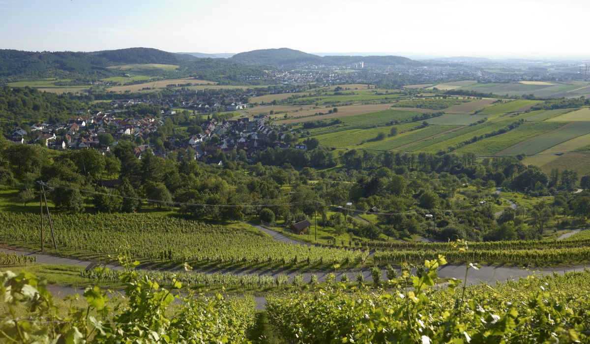 Weinberge im Vordergrund mit Blick auf eine Stadt und umliegende Felder unter klarem Himmel., © Winnenden - Stuttgart-Marketing GmbH Weinberge im Vordergrund mit Blick auf eine Stadt und umliegende Felder unter klarem Himmel., © Winnenden - Stuttgart-Marketing GmbH