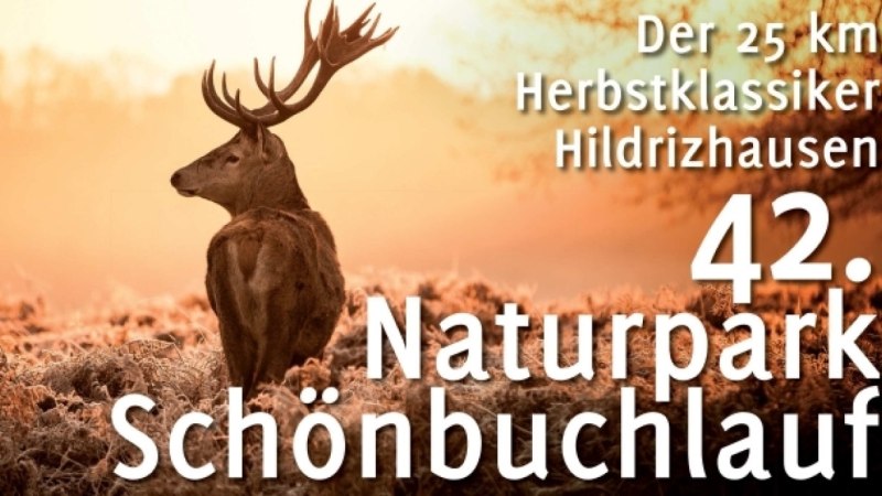 Ein Hirsch im Sonnenuntergang, Text: "Der 25 km Herbstklassiker Hildrizhausen 42. Naturpark Sch&ouml;nbuchlauf"., &copy; Natur.Nah. Sch&ouml;nbuch & Heckeng&auml;u