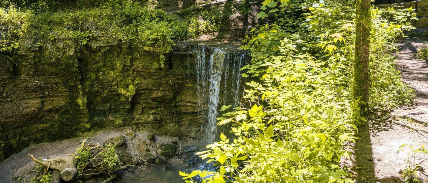 Ein kleiner Wasserfall im Murrhardter Wald, umgeben von üppigem Grün und Sonnenlicht. Der Wasserfall fließt über eine moosbedeckte Felswand., © SMG, Sarah Schmid Ein kleiner Wasserfall im Murrhardter Wald, umgeben von üppigem Grün und Sonnenlicht. Der Wasserfall fließt über eine moosbedeckte Felswand., © SMG, Sarah Schmid