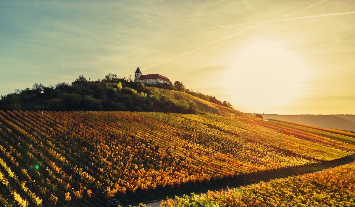 Michaelsberg im herbstlichen Sonnenlicht, © Touristikgemeinschaft HeilbronnerLand e.V. Michaelsberg im herbstlichen Sonnenlicht, © Touristikgemeinschaft HeilbronnerLand e.V.
