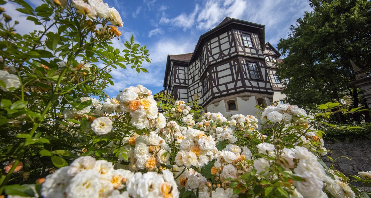 Im Schlossgarten blühen viele Blumen, © Bad Urach Tourismus Im Schlossgarten blühen viele Blumen, © Bad Urach Tourismus