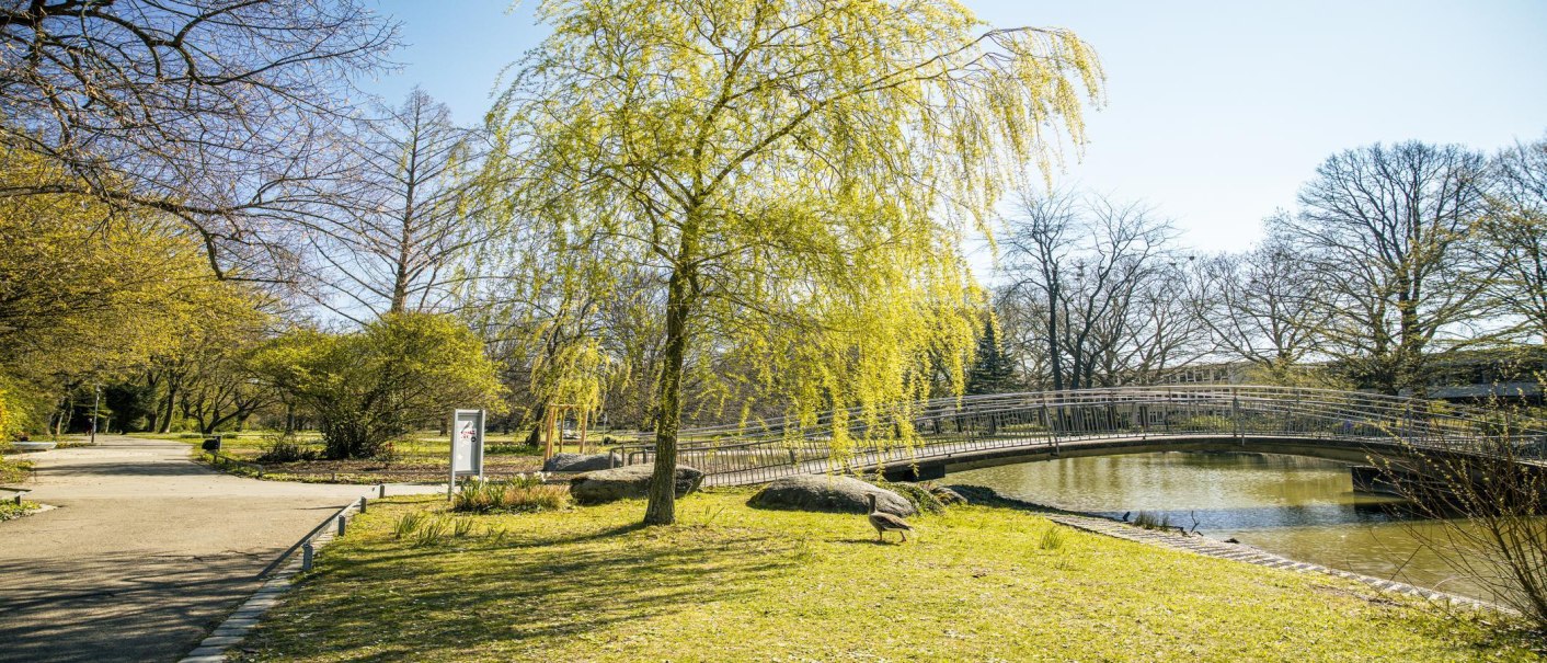 Ein sonniger Park mit einem Teich, einer Brücke und blühenden Bäumen. Ein Weg führt durch die grüne Landschaft., © SMG, Sarah Schmid Ein sonniger Park mit einem Teich, einer Brücke und blühenden Bäumen. Ein Weg führt durch die grüne Landschaft., © SMG, Sarah Schmid