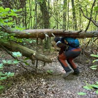 Schurwaldabenteuer Bannwald, © Kulturamt Stadt Plochingen Schurwaldabenteuer Bannwald, © Kulturamt Stadt Plochingen