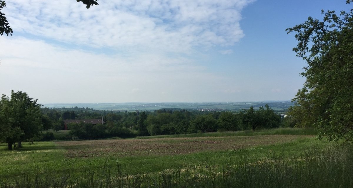 Weite Landschaft mit Blick auf Herrenberg. Im Vordergrund Felder und Bäume, im Hintergrund die Stadt unter einem leicht bewölkten Himmel., © www.pro-cycl.de Weite Landschaft mit Blick auf Herrenberg. Im Vordergrund Felder und Bäume, im Hintergrund die Stadt unter einem leicht bewölkten Himmel., © www.pro-cycl.de