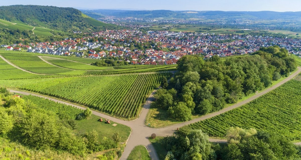 Ausblick vom Korber Kopf auf Skulpturenpfad, &copy; Gemeinde Korb