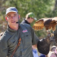 Ein Falkner hält einen Greifvogel auf seinem behandschuhten Arm. Er trägt ein Mikrofon und steht vor einer Gruppe von Zuschauern im Freien., © Wildparadies Tripsdrill
