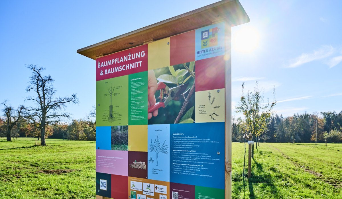 Ein Informationsschild zur Baumpflanzung und Baumschnitt steht auf einer gr&uuml;nen Wiese unter klarem Himmel., &copy; Natur.Nah. Sch&ouml;nbuch & Heckeng&auml;u