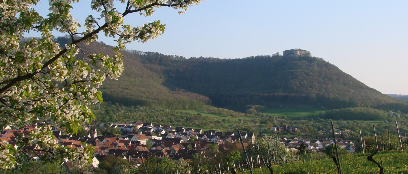 Premiumspazierwanderweg entlang des Spitzenbergs bei Beuren, © Stuttgart-Marketing GmbH