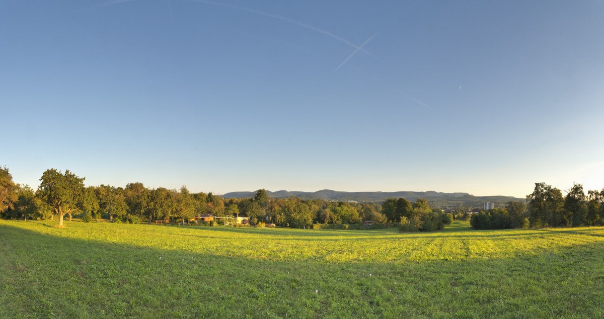 Weite grüne Wiesen mit vereinzelten Obstbäumen, im Hintergrund eine Stadt und Hügel unter klarem Himmel., © Mythos Schwäbische Alb Weite grüne Wiesen mit vereinzelten Obstbäumen, im Hintergrund eine Stadt und Hügel unter klarem Himmel., © Mythos Schwäbische Alb