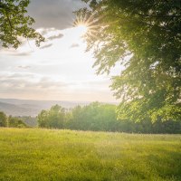 Sonnenstrahlen durchbrechen die Wolken über einer grünen Wiese, umgeben von Bäumen. Im Hintergrund sind Hügel und ein Turm sichtbar., © SMG, Martina Denker