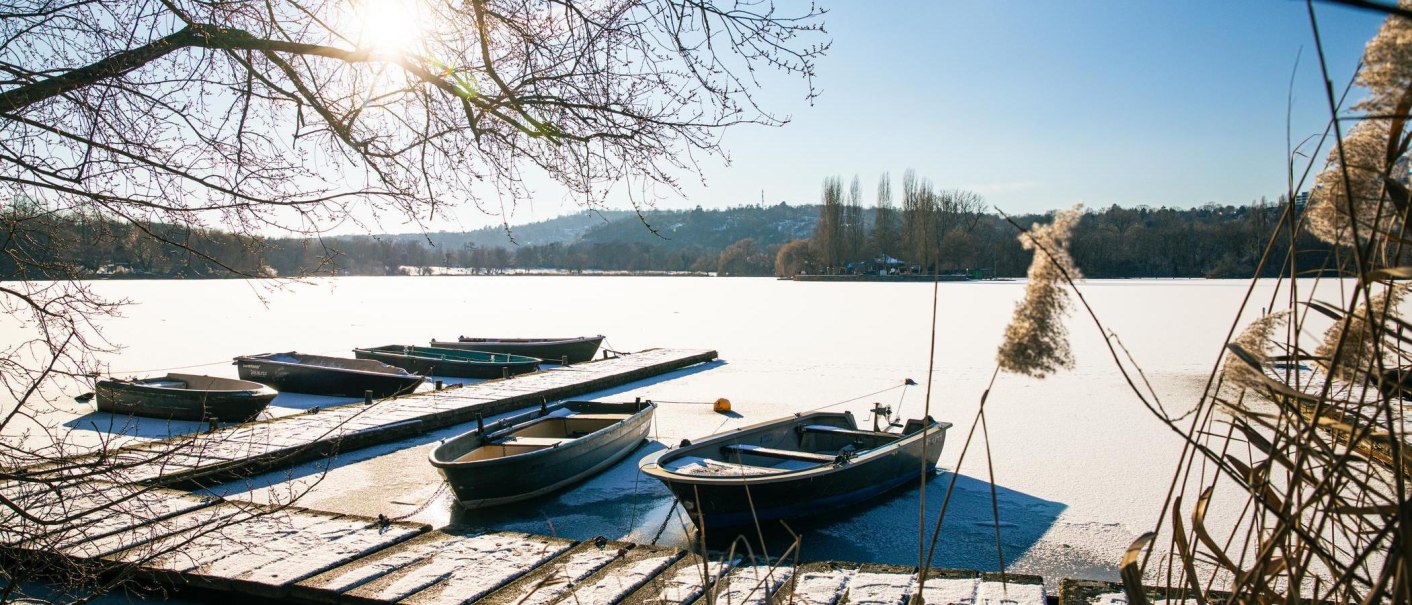 Verschneite Boote liegen an einem Steg am Max-Eyth-See. Die Sonne scheint durch die kahlen &Auml;ste, w&auml;hrend der See gefroren ist., &copy; Stuttgart-Marketing GmbH, Sarah Schmid