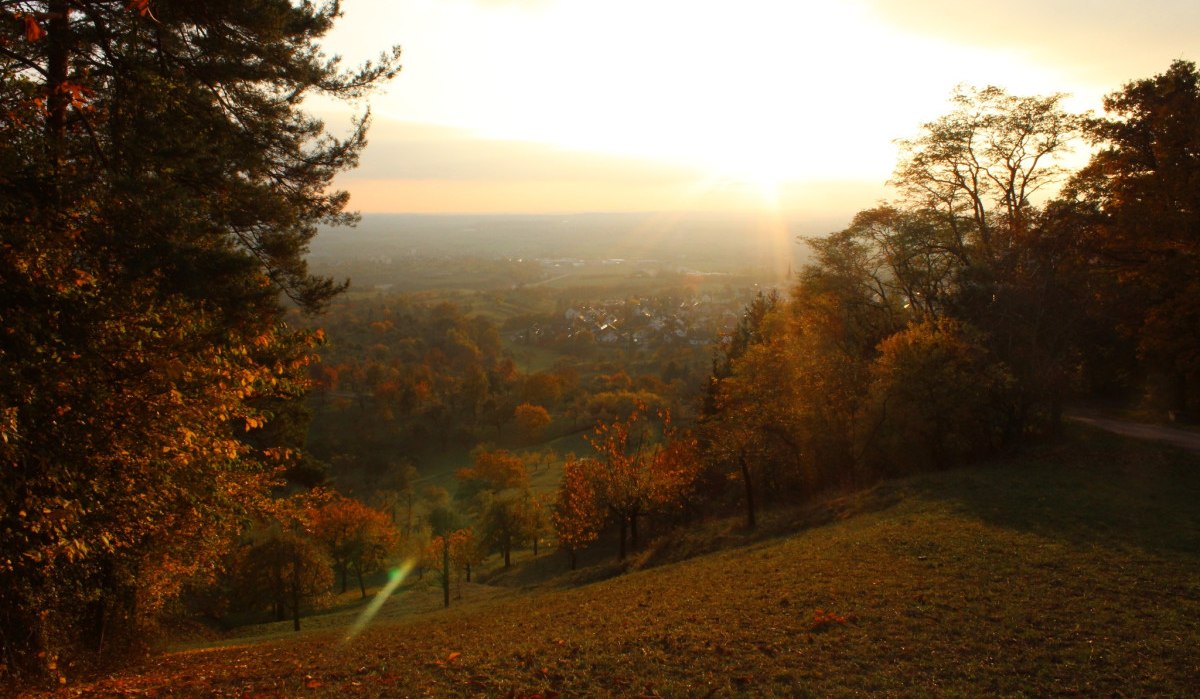 Sonnenuntergang über einer herbstlichen Landschaft. Bäume in warmen Farben, ein Dorf im Hintergrund. Die Sonne strahlt über den Horizont., © Natur.Nah. Schönbuch & Heckengäu Sonnenuntergang über einer herbstlichen Landschaft. Bäume in warmen Farben, ein Dorf im Hintergrund. Die Sonne strahlt über den Horizont., © Natur.Nah. Schönbuch & Heckengäu