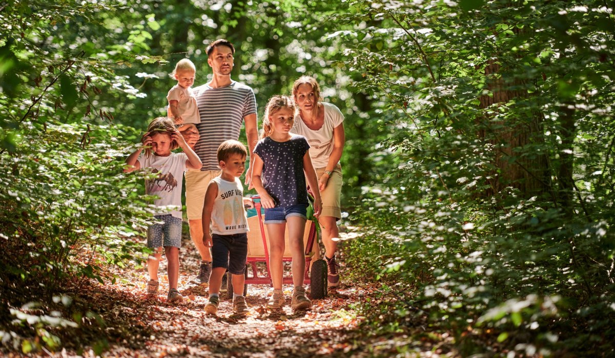 Eine Familie mit Kindern spaziert fröhlich auf einem sonnigen Waldweg. Die Umgebung ist grün und lebendig., © Natur.Nah. Schönbuch & Heckengäu Eine Familie mit Kindern spaziert fröhlich auf einem sonnigen Waldweg. Die Umgebung ist grün und lebendig., © Natur.Nah. Schönbuch & Heckengäu