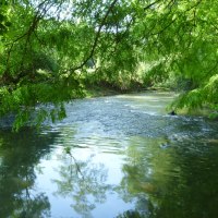 Ein ruhiger Fluss fließt durch eine grüne Landschaft, umgeben von üppigen Bäumen, die sich im Wasser spiegeln., © Remstal Tourismus e.V. Ein ruhiger Fluss fließt durch eine grüne Landschaft, umgeben von üppigen Bäumen, die sich im Wasser spiegeln., © Remstal Tourismus e.V.