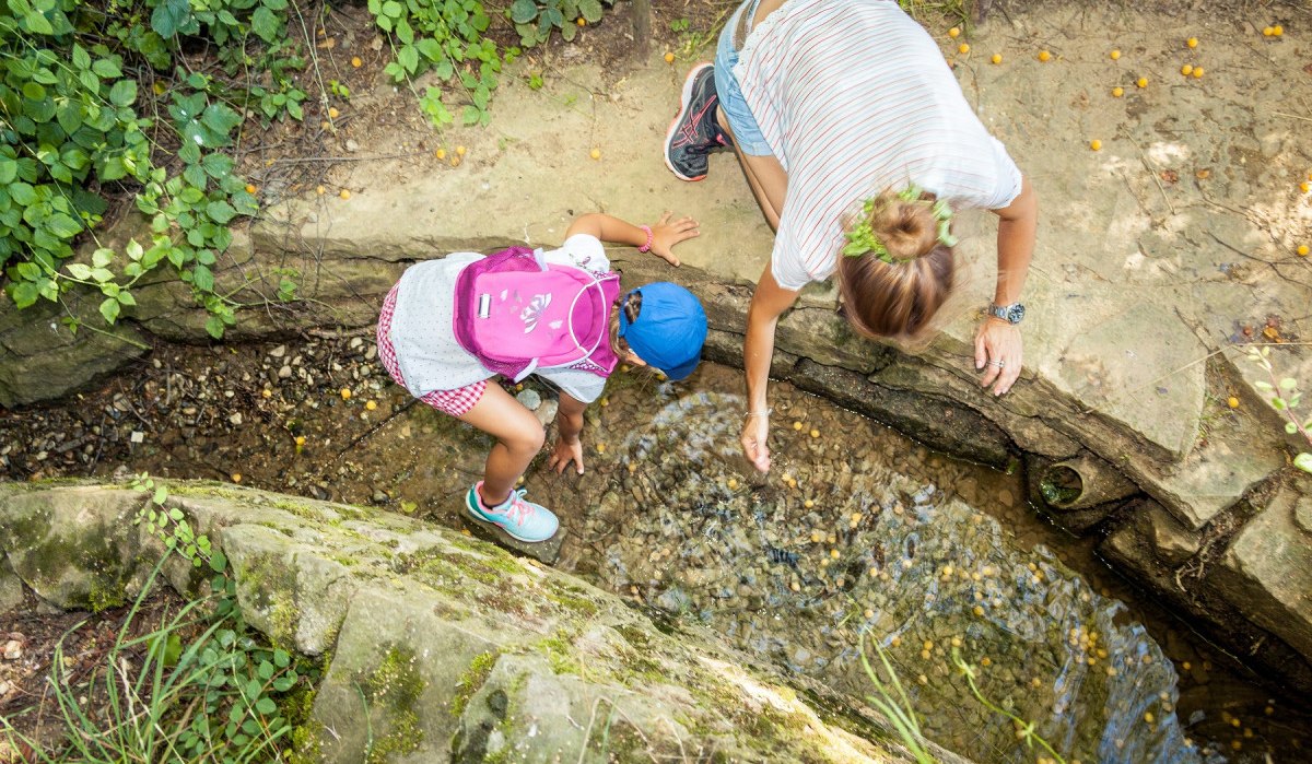 Ein Kind mit rosa Rucksack und ein Erwachsener beugen sich über einen kleinen Bach im Freien, um im Wasser zu spielen., © hochgehberge